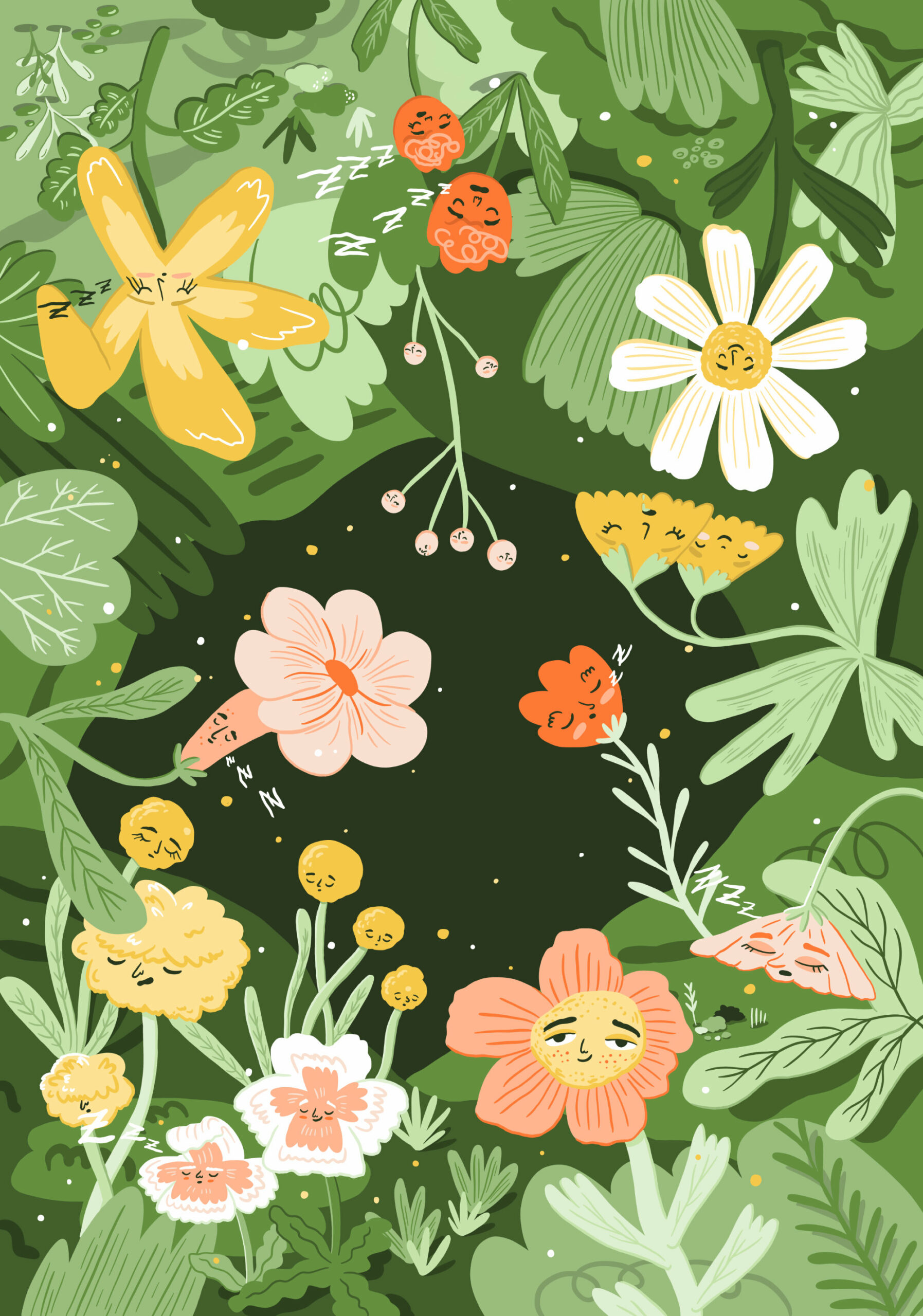 Studio-Hollaender-Adventures-Illustration-02