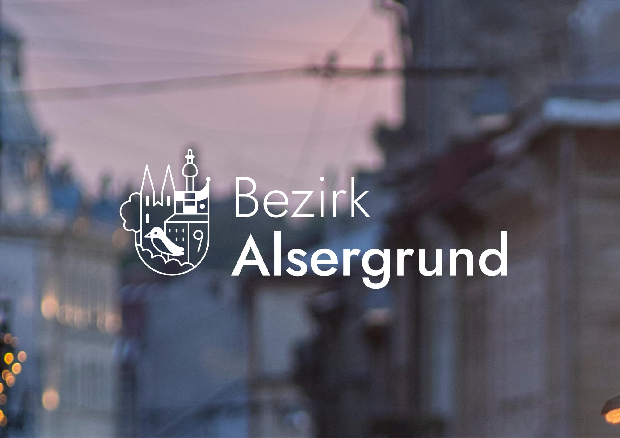 Petra-Hollaender-Branding-Bezirkvorstehung-Alsergrund-Wien-Corporate-Design-Illustration-12