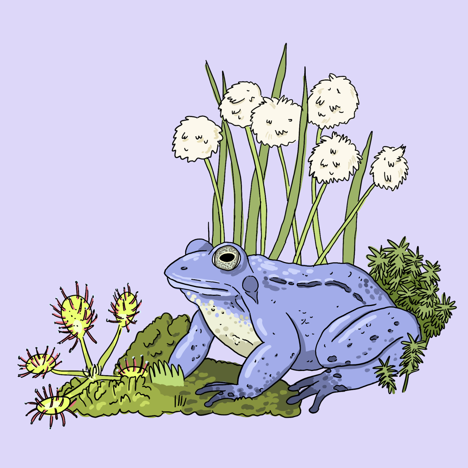 WWF_Infographic_Restoring_Nature_Illustration_Petra_Hollaender_Thumb
